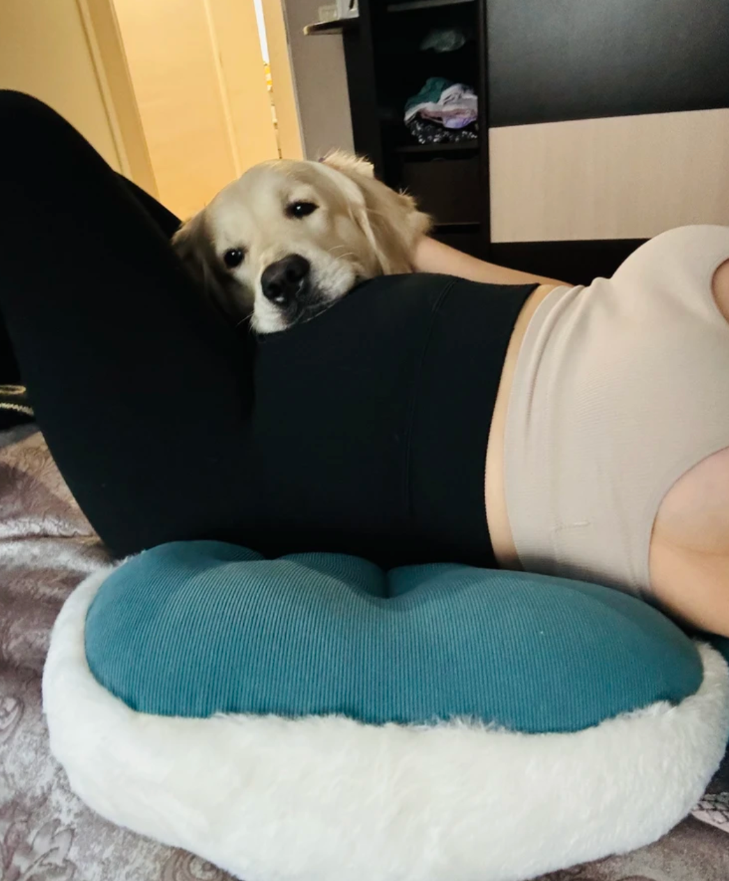 Chien couché sur le coussin de grossesse Be'Cloud utilisé comme appui doux et confortable
